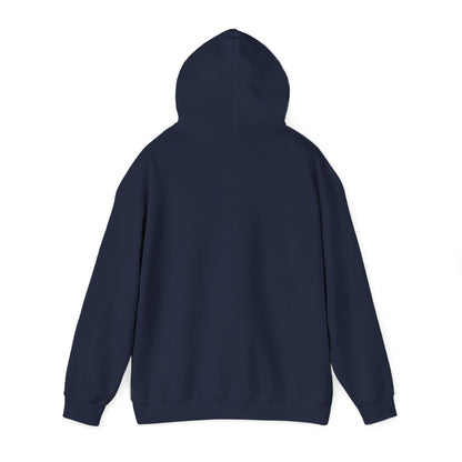 Swing Sip Dink Repeat Pickleball Hoodie | Retro Court Sunset Design