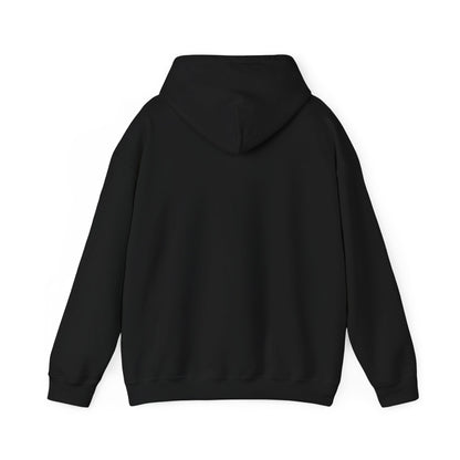 Swing Sip Dink Repeat Pickleball Hoodie | Retro Court Sunset Design